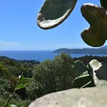 Tra Gli Ulivi By Elba Holidays Ferienhaus