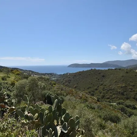 Tra Gli Ulivi By Elba Holidays Casa vacanze Porto Azzurro