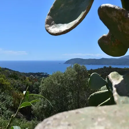 Tra Gli Ulivi By Elba Holidays Dom wakacyjny